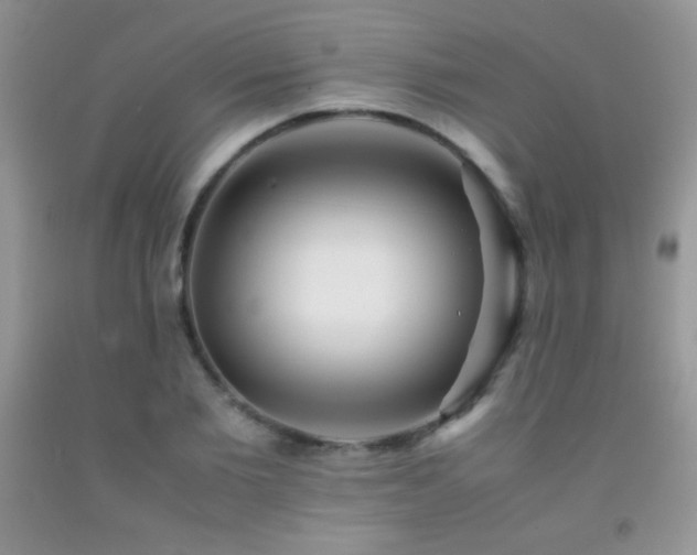 X0000092290885200709141257