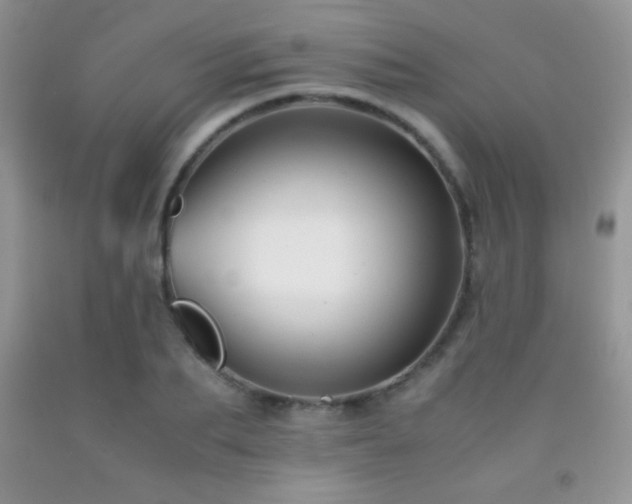 X0000092290887200709141257