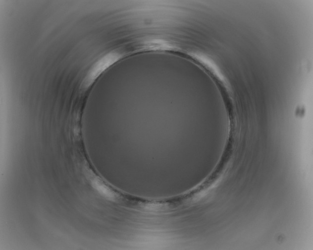 X0000092290889200709141257