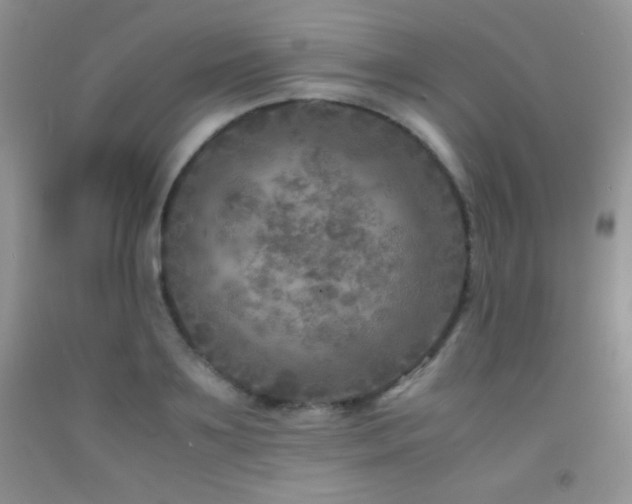 X0000092290891200709141257