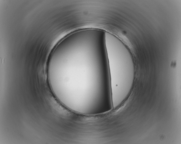 X0000092290892200709141257