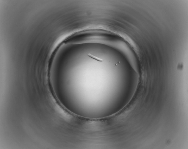 X0000092290894200709141257