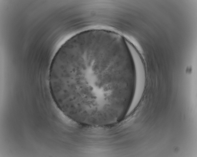 X0000092290895200709141257