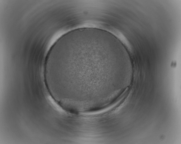 X0000092290896200709141257