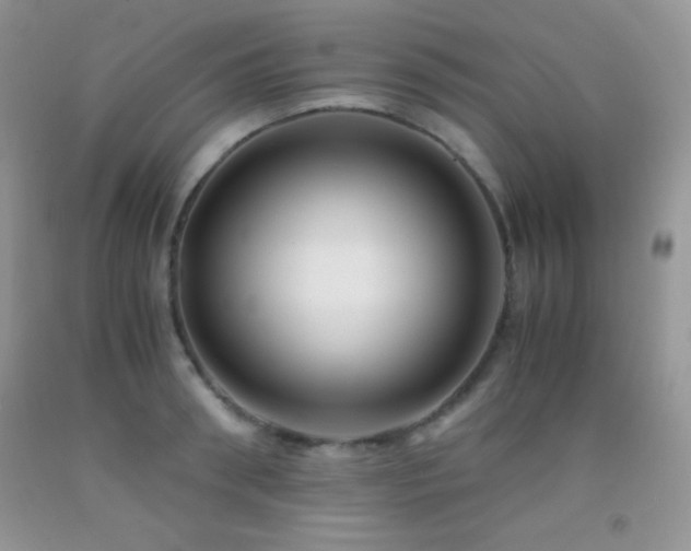 X0000092290898200709141257