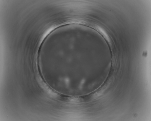 X0000092290899200709141257