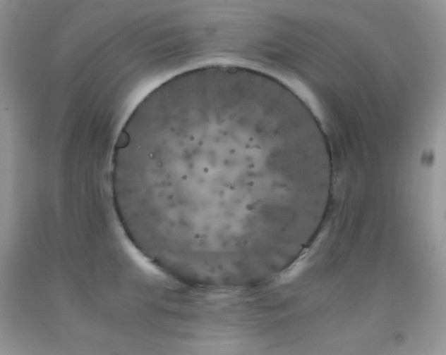 X0000092290903200709141257