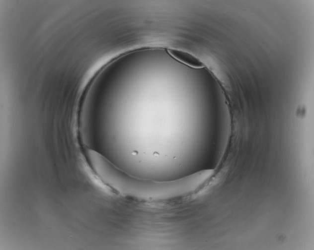 X0000092290904200709141257