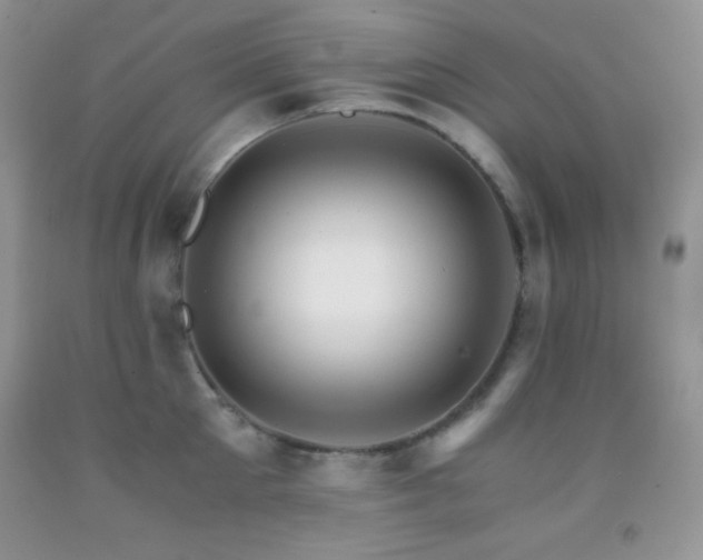 X0000092290905200709141257