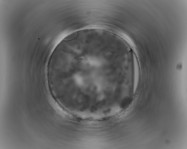 X0000092290907200709141257