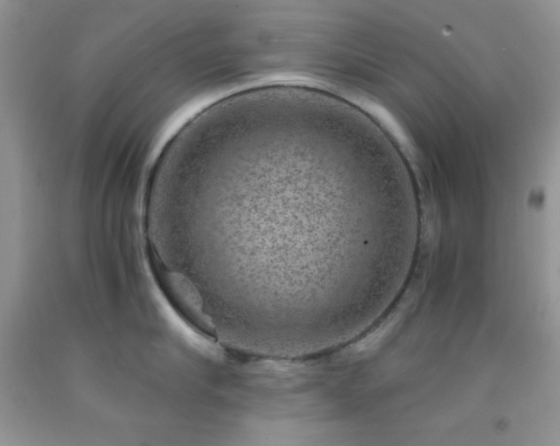 X0000092290910200709141257