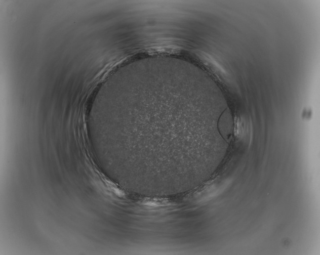 X0000092290915200709141256