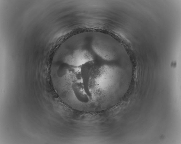 X0000092290917200709141256