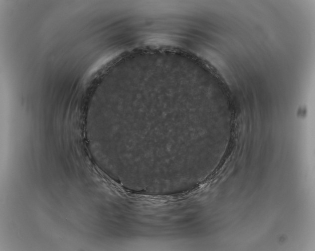 X0000092290919200709141256