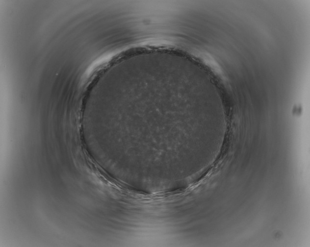 X0000092290920200709141256