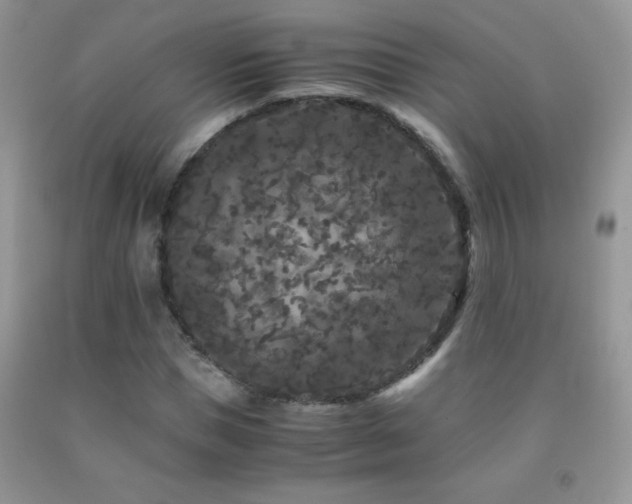 X0000092290921200709141256