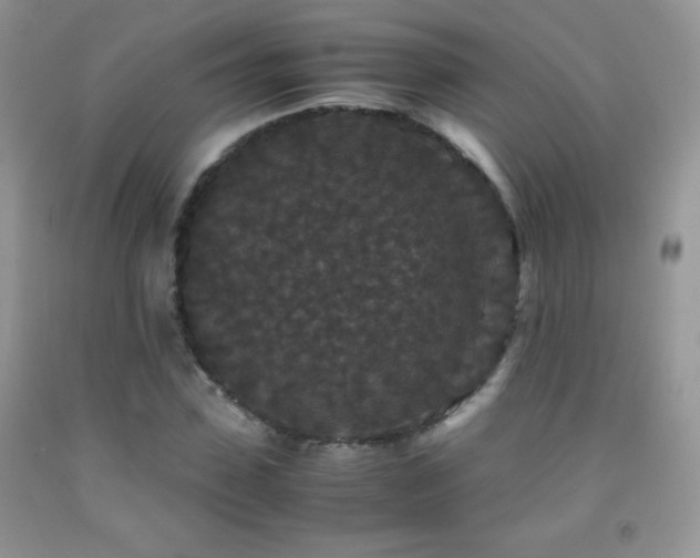 X0000092290923200709141256