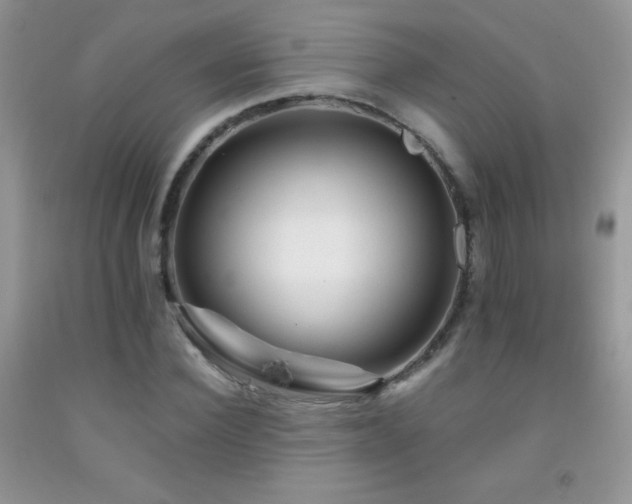 X0000092290924200709141256