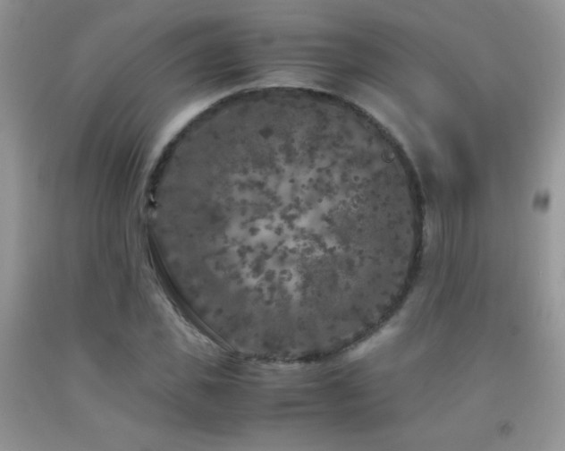 X0000092290925200709141256