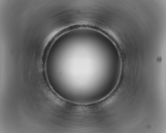 X0000092290927200709141256