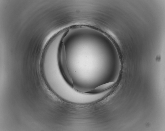 X0000092290928200709141256