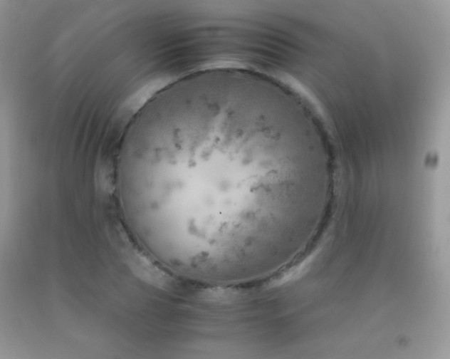 X0000092290929200709141257