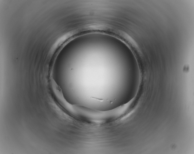 X0000092290930200709141257