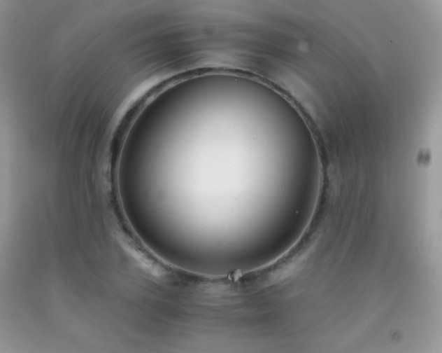 X0000092290931200709141257