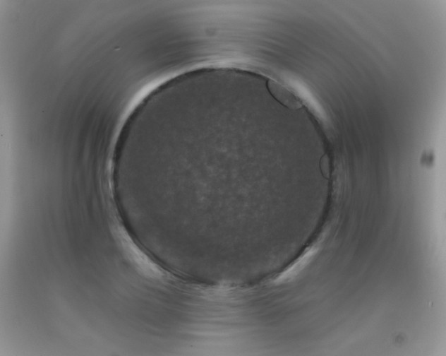 X0000092290932200709141257