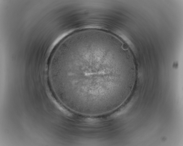 X0000092290933200709141257