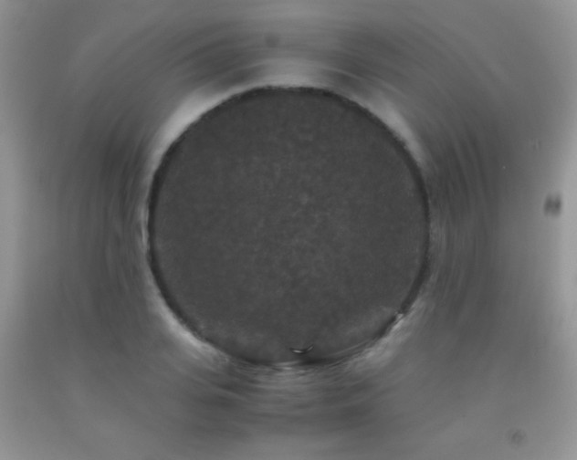 X0000092290935200709141257