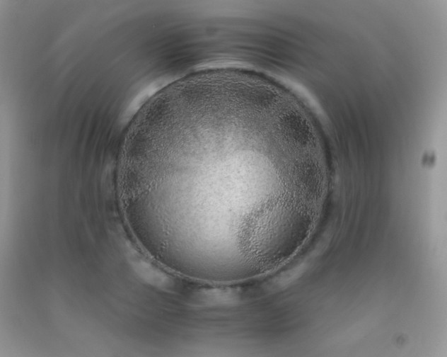 X0000092290937200709141257