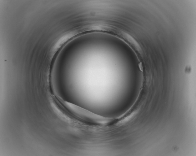 X0000092290938200709141257