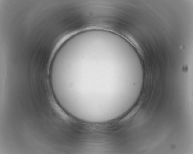 X0000092290940200709141257