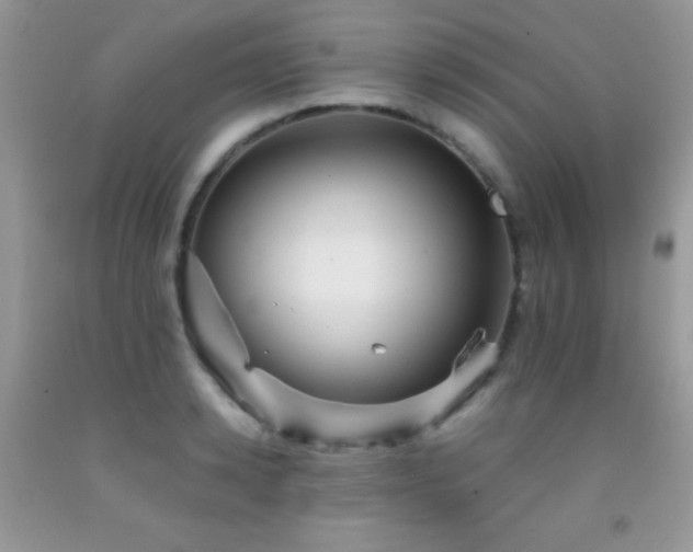 X0000092290942200709141257