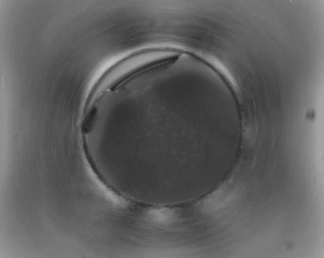 X0000092290943200709141257