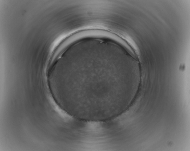 X0000092290944200709141257