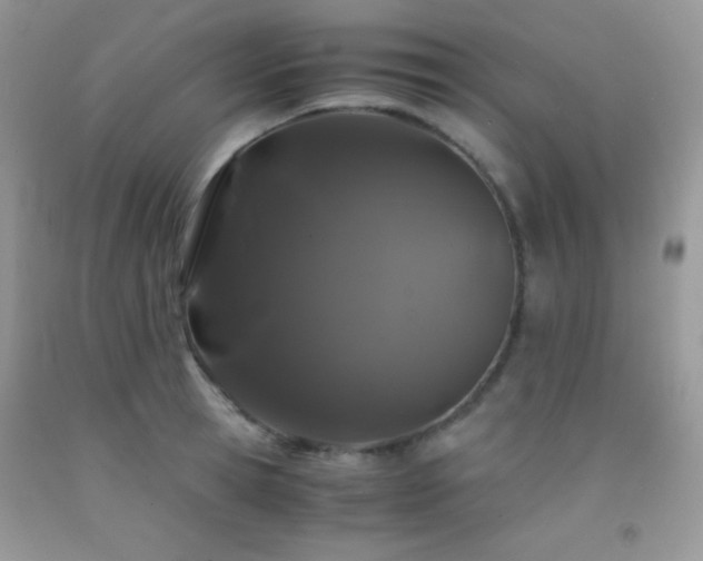 X0000092290945200709141257