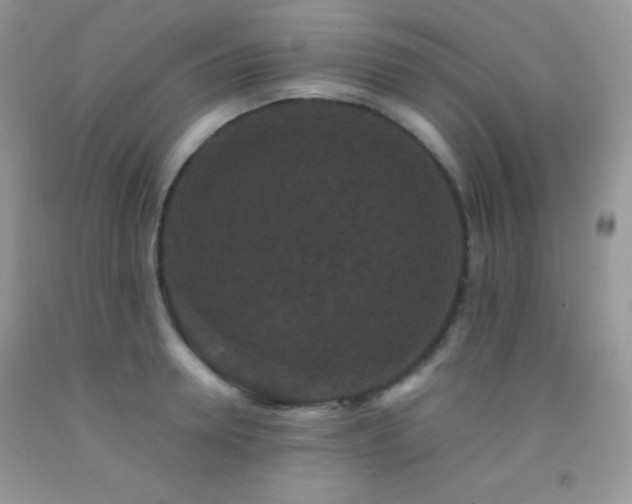 X0000092290946200709141257