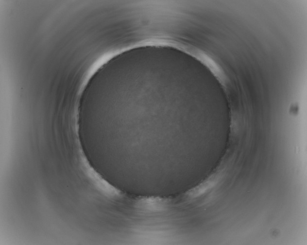 X0000092290950200709141257