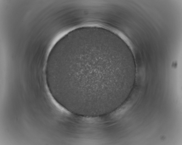 X0000092290951200709141257