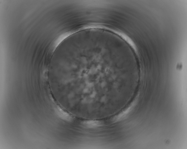 X0000092290953200709141257