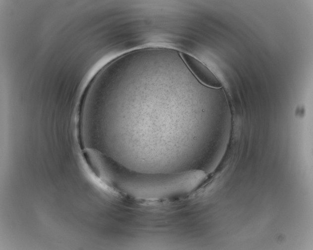 X0000092290955200709141257