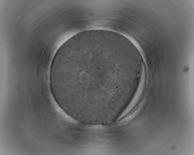 X0000092290957200709141257