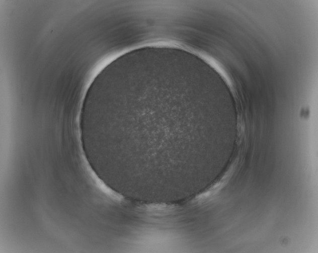 X0000092290959200709141257