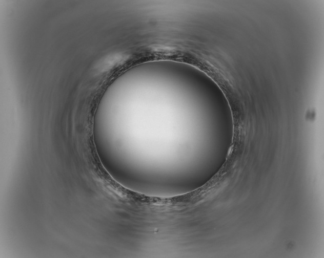 X0000092290961200709141256