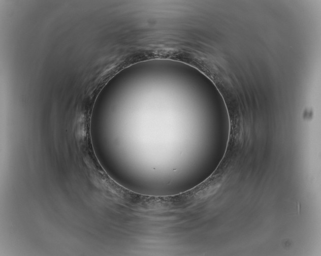 X0000092290962200709141256