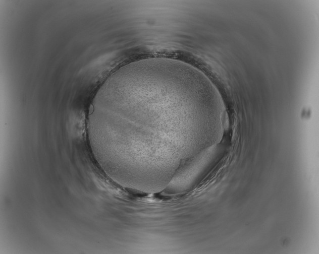 X0000092290963200709141256