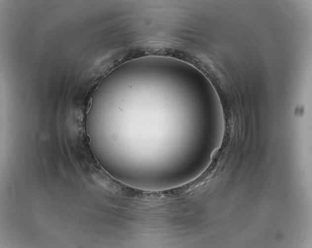 X0000092290964200709141256