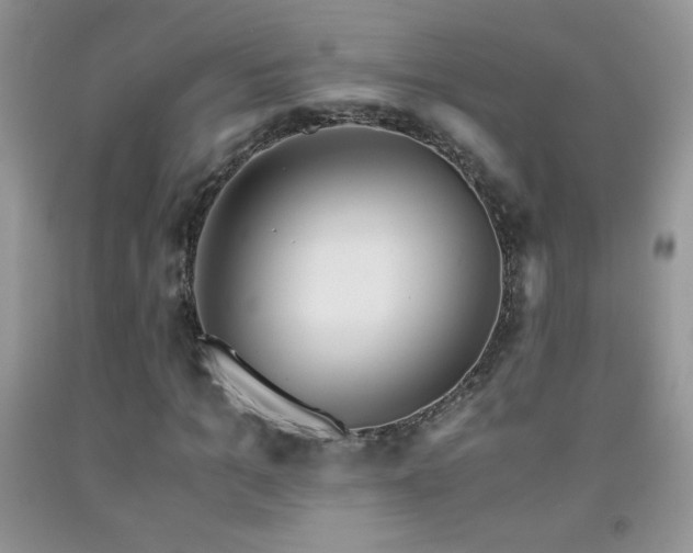 X0000092290965200709141256